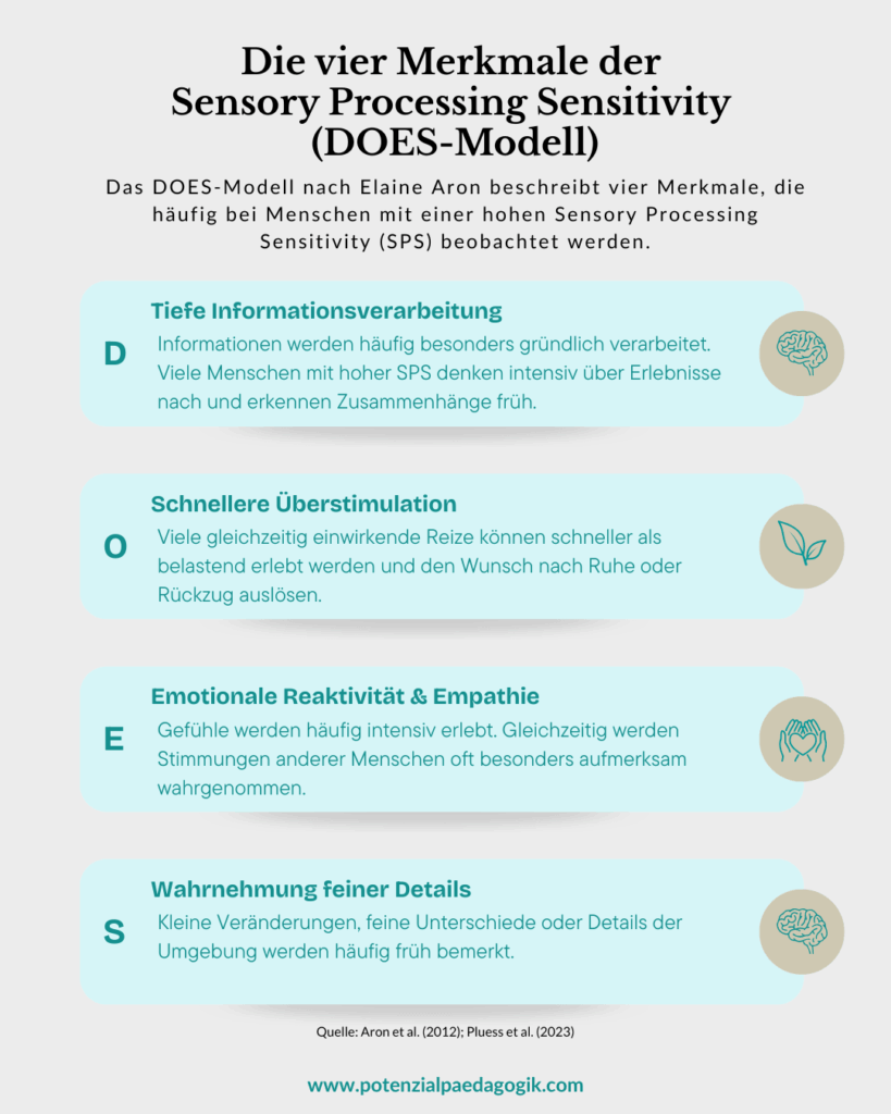 Infografik zum DOES-Modell mit den vier Merkmalen der Sensory Processing Sensitivity: Tiefe Informationsverarbeitung, Überstimulation, emotionale Reaktivität und Empathie sowie Wahrnehmung feiner Details.